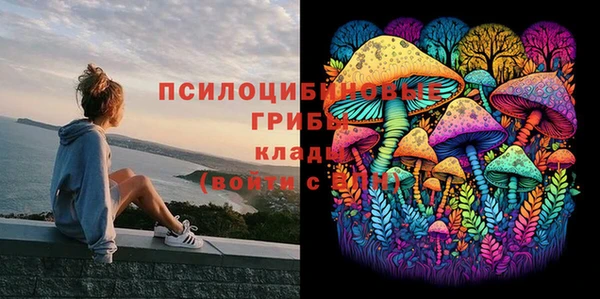 гашик Белоозёрский