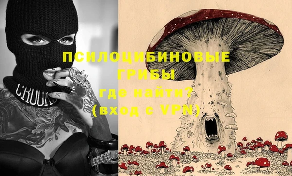 гашик Белоозёрский
