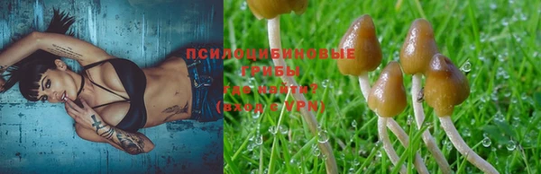 меф Белокуриха